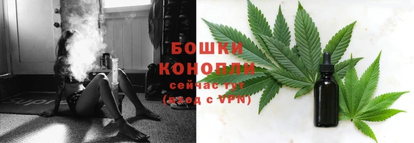 PSILOCYBIN Арсеньев